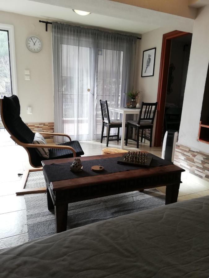 Forest 22 Apartment *